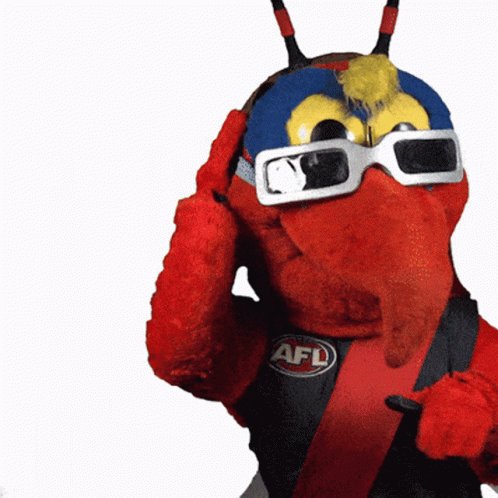 Bigfooty essendon discount