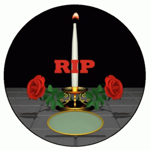 Rip Rip Candle GIF