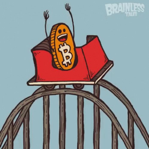 Bitcoin Rollercoaster - Rol...