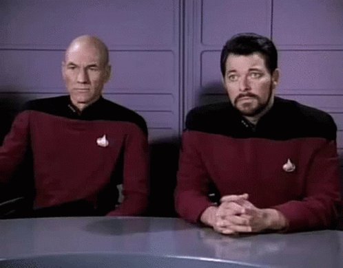 Riker GIF