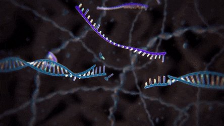 Journal of Biomedical & Allied Res (ISSN:258-4937) on Twitter: Journal of Biomedical & Allied Res (ISSN:258-4937) on Twitter: