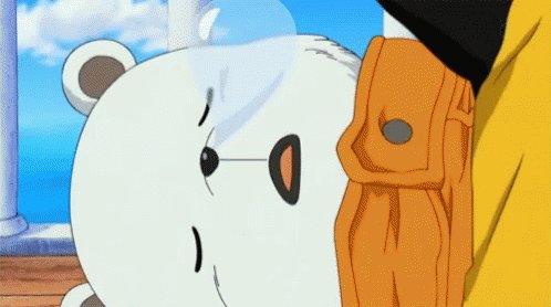 Bear Sleep GIF