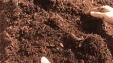 Mulch Soil GIF