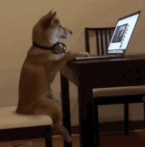 Yes!!! Integrated with the people’s currency: doge https://t.co/knFXKuyQXs