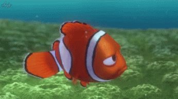Finding Nemo Seriously Bro GIF