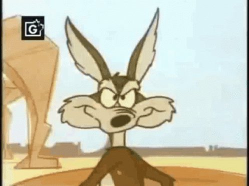 Coyote GIF