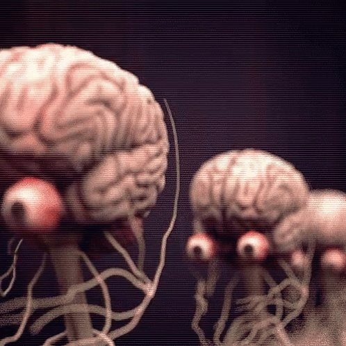 Brains Mind Space Apocalyps...