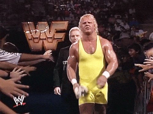 The Perfect GIF

Happy Birthday, Curt Hennig 