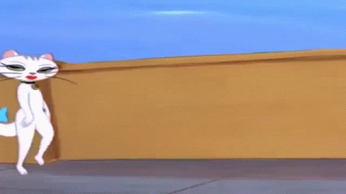 Actualmente estamos buscando este tipo de modelos: https://t.co/auie6aEstp