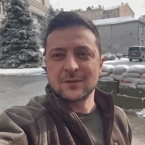 Wink Zelensky GIF by Formul...