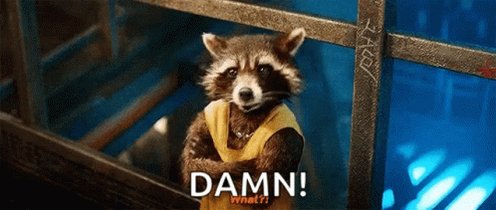 Guardians Of The Galaxy Rocket Raccoon GIF