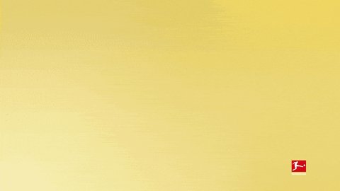 Borussia Dortmund Football GIF by Bundesliga