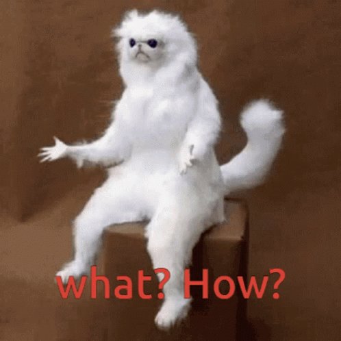 Acat How GIF