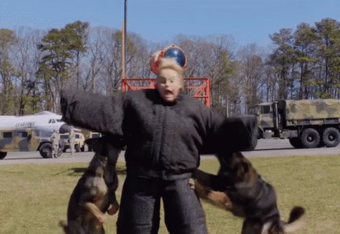 Bit By Attack Dogs GIF