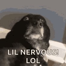 Everybody please! I'm at 666 followers on Twitch and that number makes me extremely uncomfortable. Can you just send my Twitch to someone and let the know the situation and to follow me please? Even grandma is a great choice at this point really... https://t.co/QYw6XZHlzV https://t.co/3IdgJmr3Fo