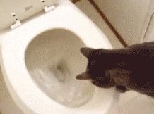 Where Did It Go? GIF