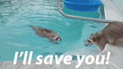 I'Ll Save You! GIF