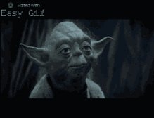Yoda Options GIF