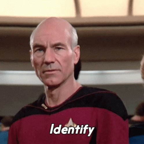 Identify Jean Luc Picard GIF