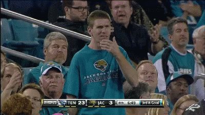 Nice Jacksonville Jaguars Fan GIF