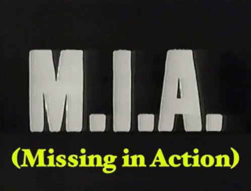 Missing In Action GIF