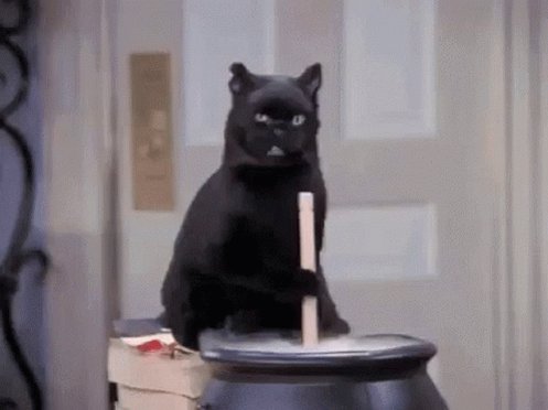 Black Cat Salem Cauldron GIF