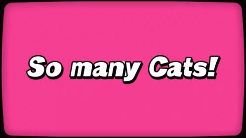 So Many Cats Stars GIF