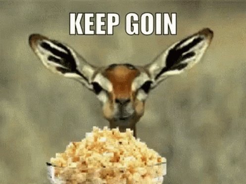 Keep Going Deer GIF