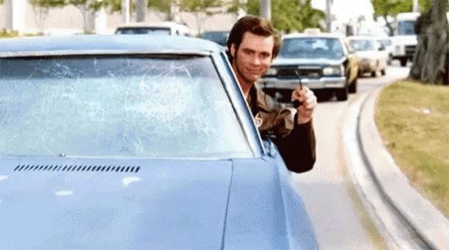 Jim Carrey Ace Ventura GIF