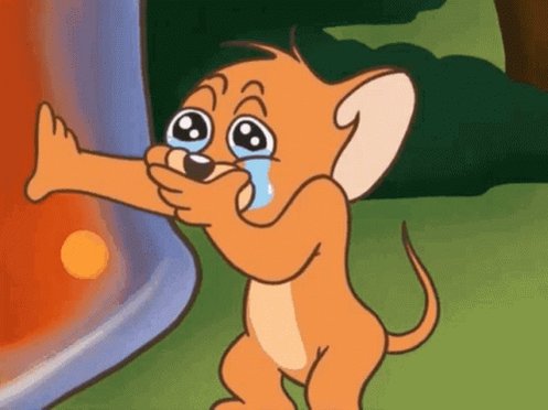 Tom Y Jerry Tom And Jerry GIF