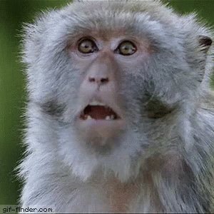 Shocked monkey