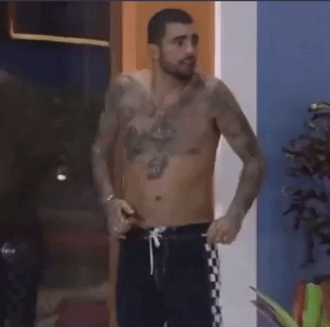 Big Brother Surf GIF