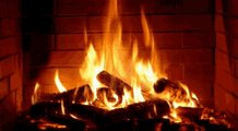 Burning Fireplace Logs GIF