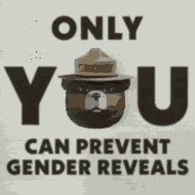 Only You Can Prevent Gender Reveals Forest Fire GIF