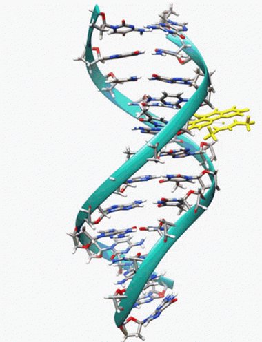 Dna Spinning GIF