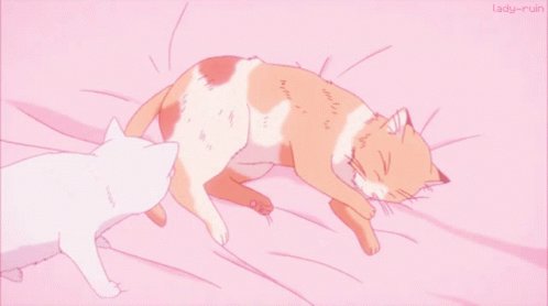 Hoy al llevar a Haru al veterinario vimos a una chica que estaba muy mal luego de que le hicieran la