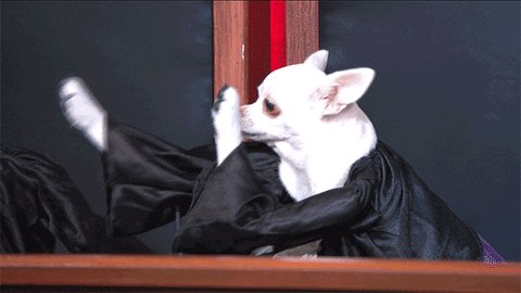 Happy John Oliver GIF by La...