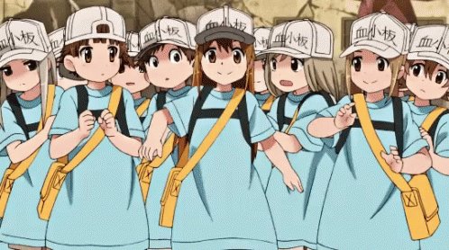 Platelets Cells At Work GIF