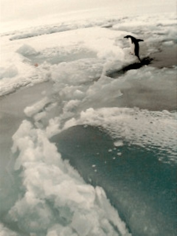 SCALExperiment photo
