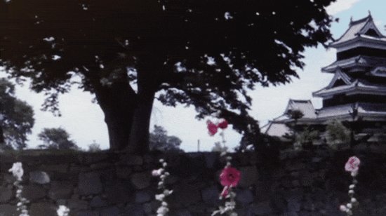 松本城のtwitterイラスト検索結果