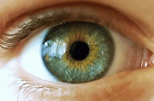 Pupil Vision GIF