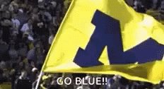 Michigan Wolverines Flag GIF