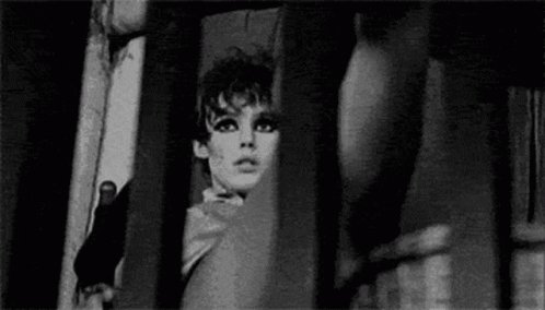 HAPPY BIRTHDAY EDIE SEDGWICK 