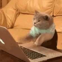 Typing Busy GIF