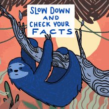 Slow Down And Check Your Facts Sloth GIF