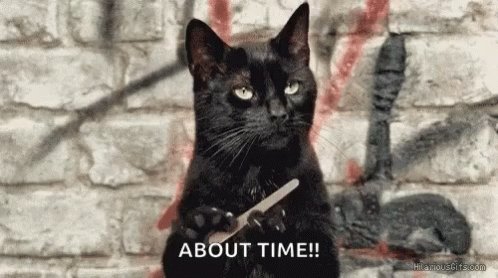 Salem The Cat Black Cat GIF