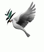 Peace Dove GIF