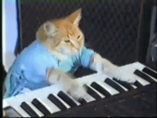 Cat Piano GIF