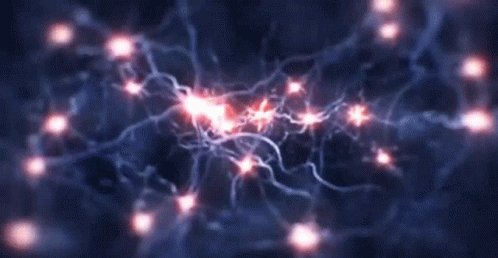 нервныеклетки нейроны GIF