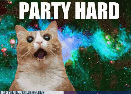 Party Hard GIF